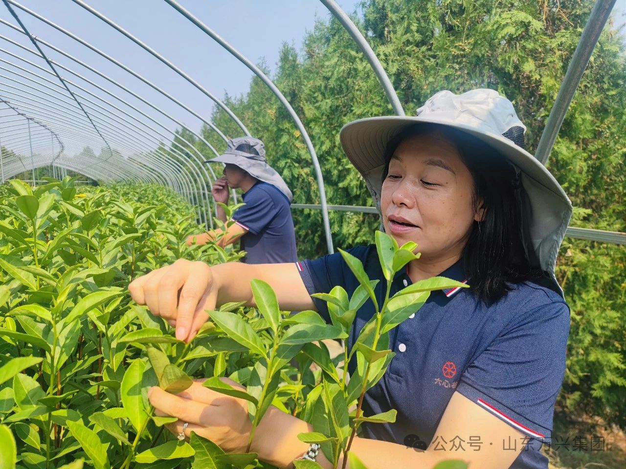 红蓝(中国区)股份有限公司-官网