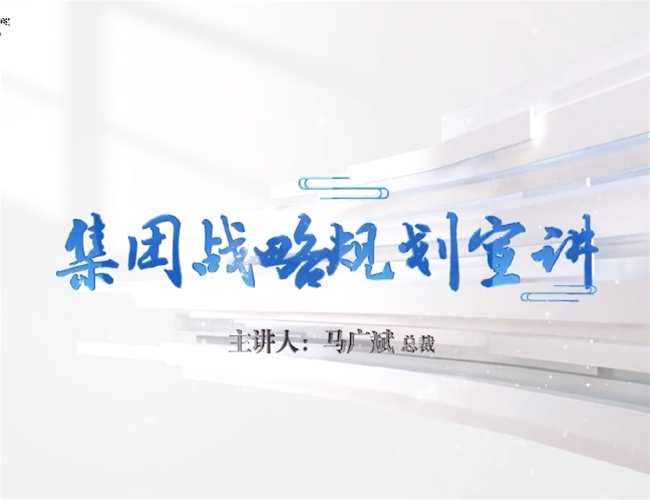 马广斌总裁关于红蓝官网战术的汇报