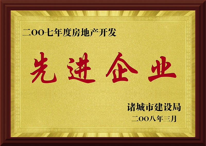 2007年度房地产开发先进企业