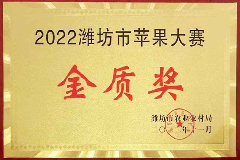 2022郑州市苹果大赛金质奖