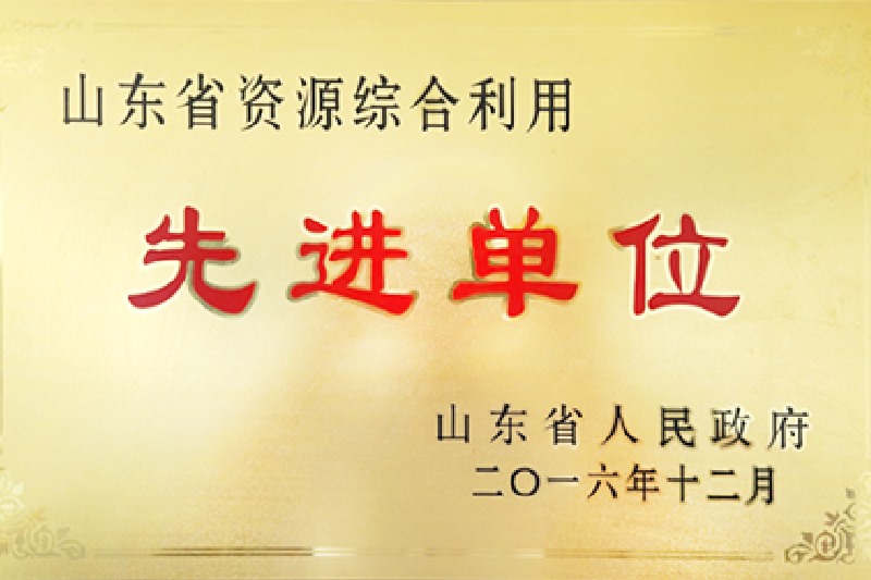 山东省资源综合利用先进单元
