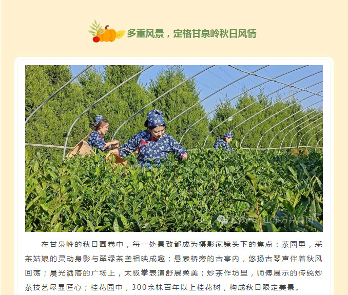 红蓝(中国区)股份有限公司-官网