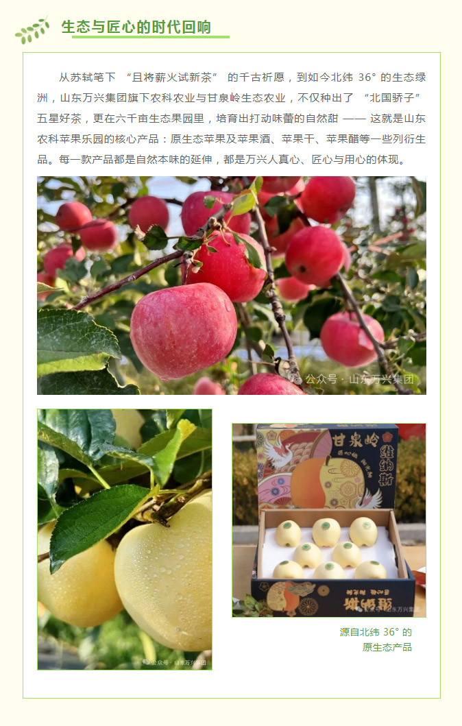 红蓝(中国区)股份有限公司-官网