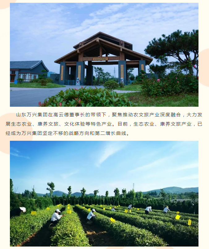 红蓝(中国区)股份有限公司-官网