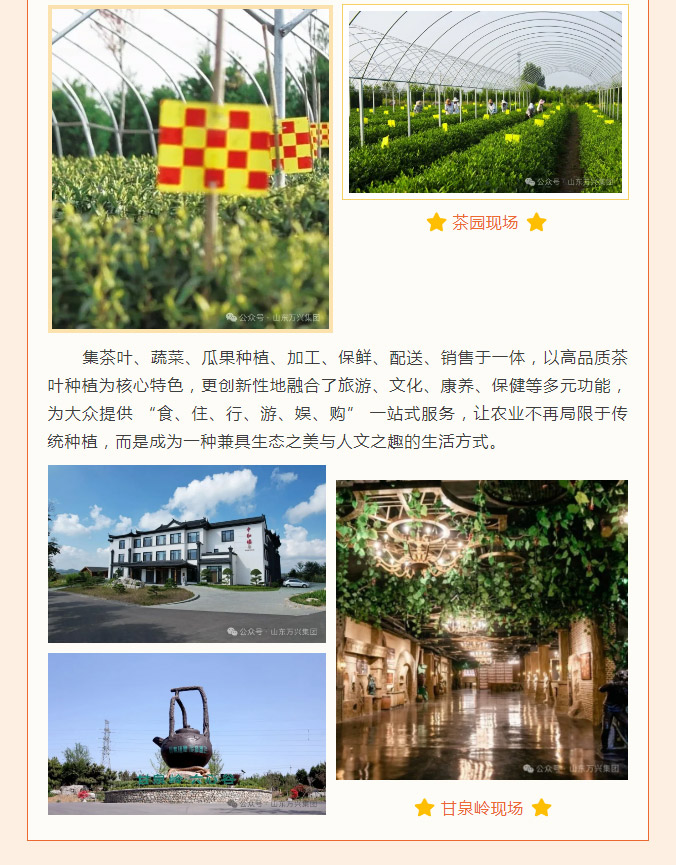 红蓝(中国区)股份有限公司-官网