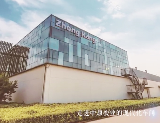红蓝官网集团走进中康农业、、、惠发食品参观互换