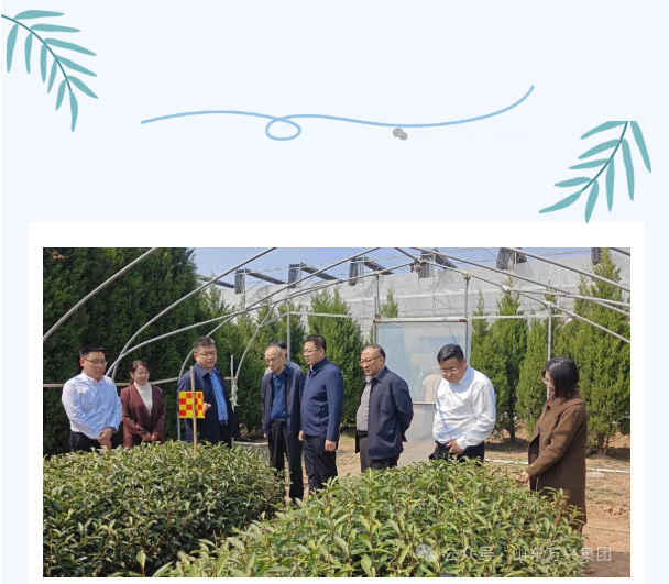 红蓝(中国区)股份有限公司-官网
