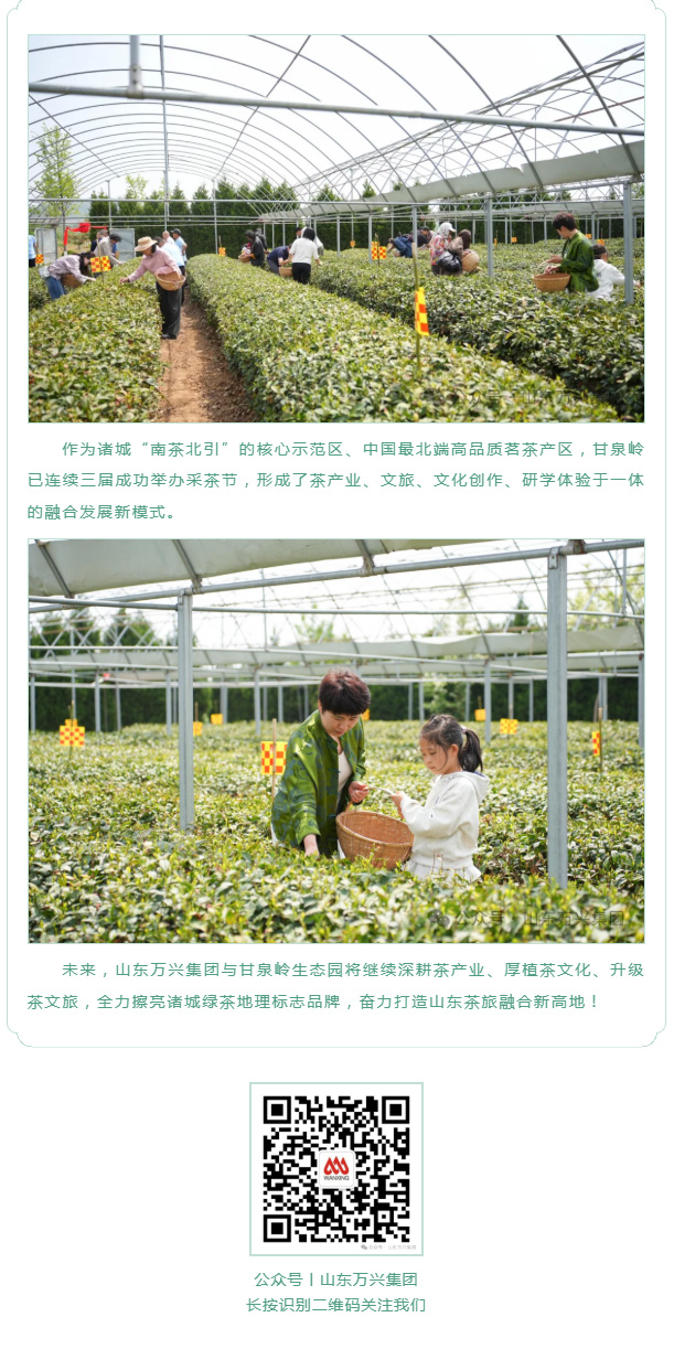 红蓝(中国区)股份有限公司-官网