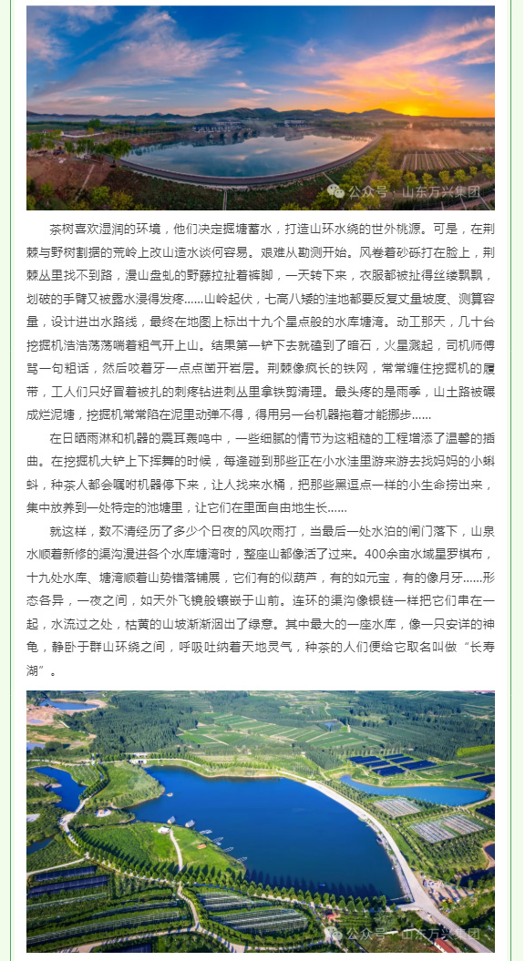 红蓝(中国区)股份有限公司-官网