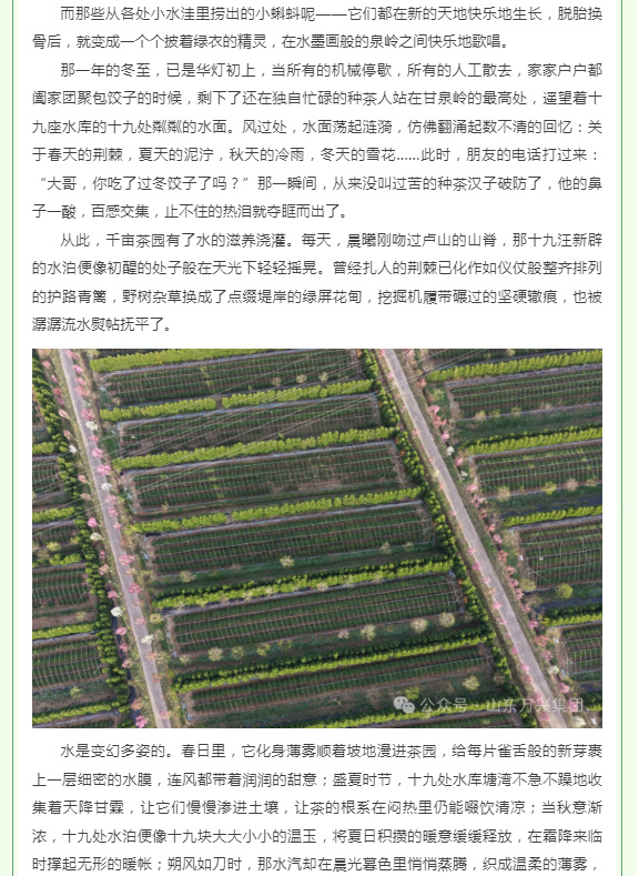 红蓝(中国区)股份有限公司-官网