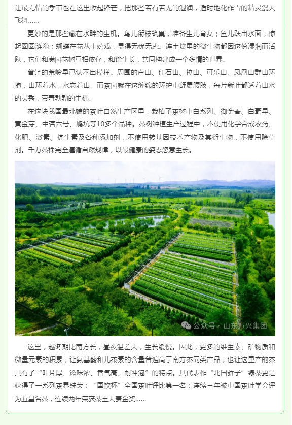红蓝(中国区)股份有限公司-官网