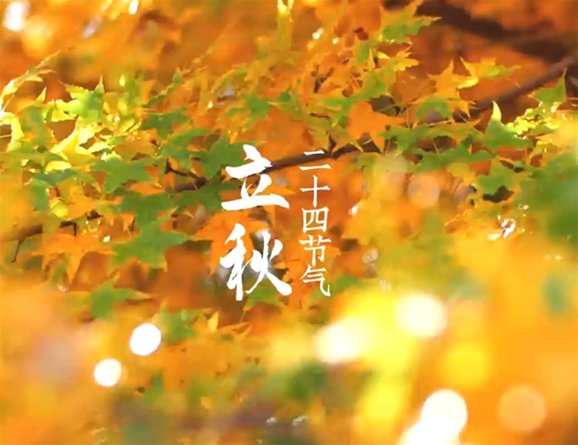 立秋