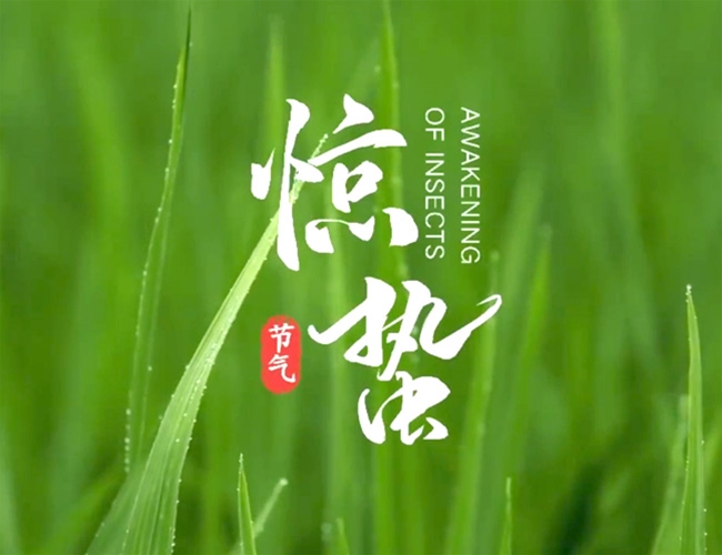 惊蛰
